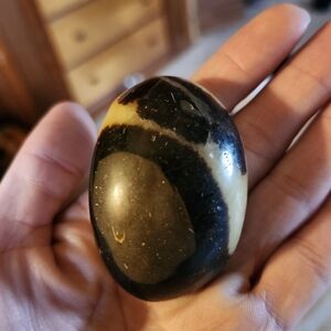 Polished Septarian Stone